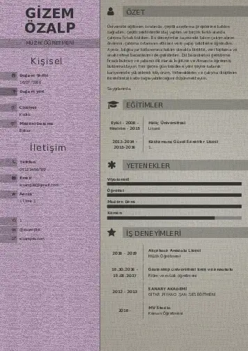 Müzik Öğretmeni Cv Örnekleri cv indir
